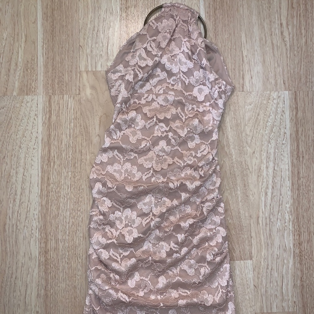 Cache Plush Pink Lace Dress size 2